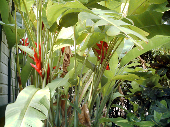 15 - Bungalow 003.jpg